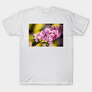 Butterfly bush close-up T-Shirt